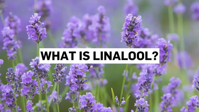 Čo je linalool?