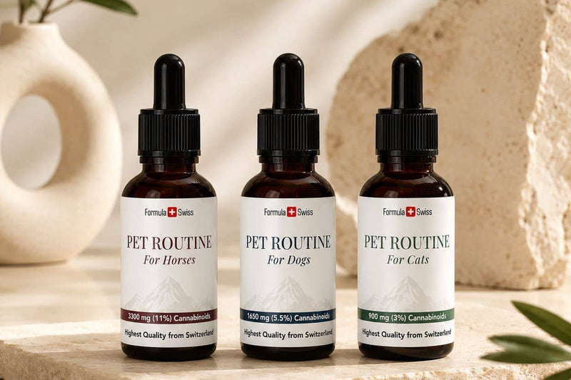 CBD oleje Formula Swiss Pet Routine pre kone, psy a mačky na kamennom povrchu