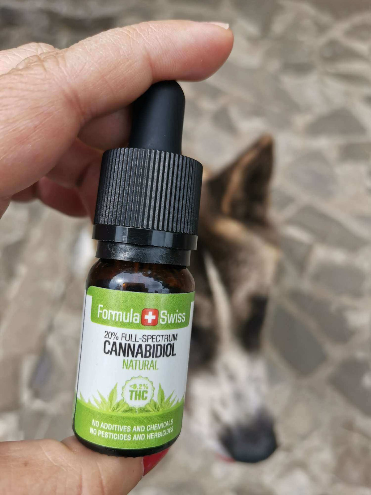 CBD olej Formula Swiss v MCT oleji – prírodný