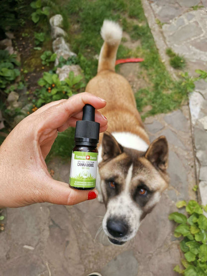 CBD olej Formula Swiss v MCT oleji – prírodný