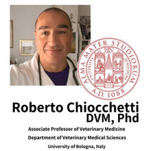 Professor Roberto Chiocchetti Univerzity v Bologni