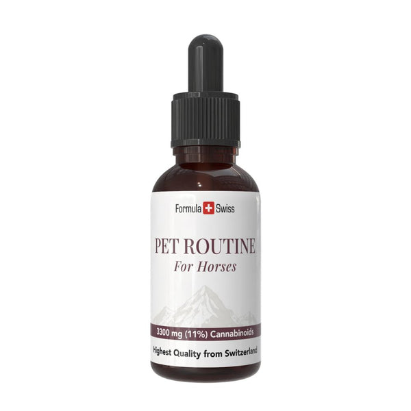 Pet Routine pre kone